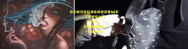 спиды Арсеньев