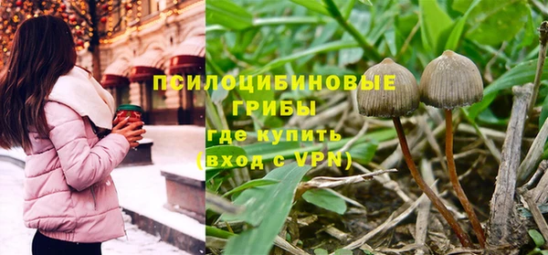 спиды Арсеньев
