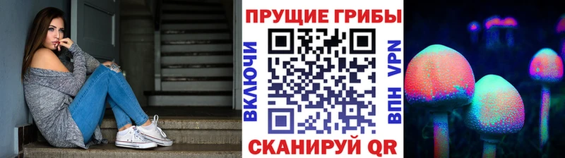Галлюциногенные грибы GOLDEN TEACHER  Майский 
